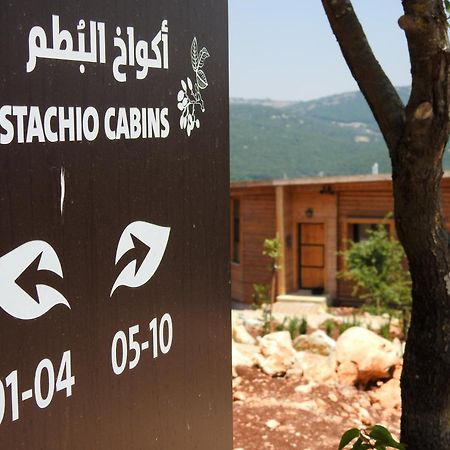 Ajloun Forest Reserve Eksteriør bilde