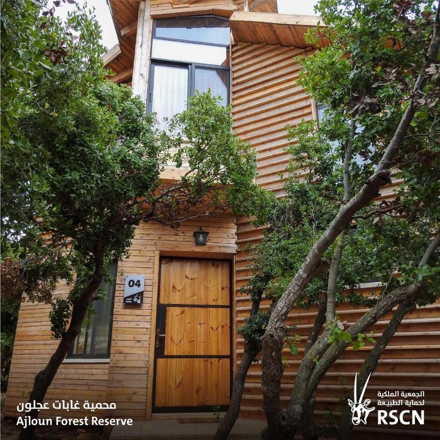 Ajloun Forest Reserve Eksteriør bilde