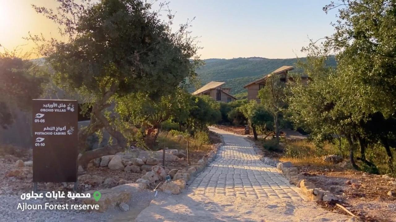 Ajloun Forest Reserve Eksteriør bilde