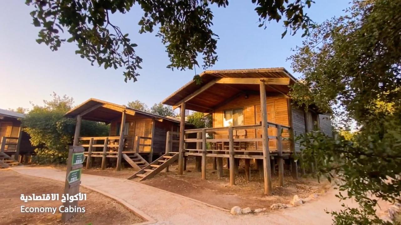 Ajloun Forest Reserve Eksteriør bilde