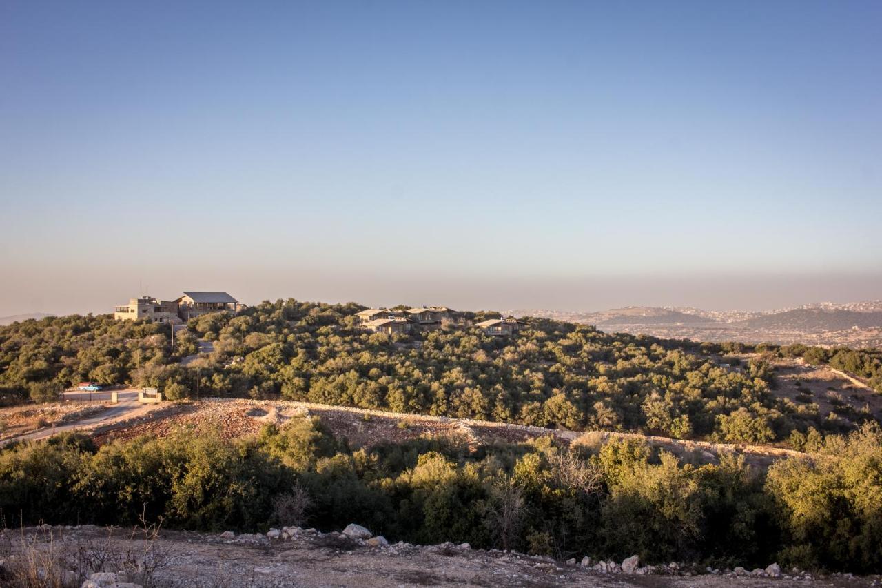 Ajloun Forest Reserve Eksteriør bilde